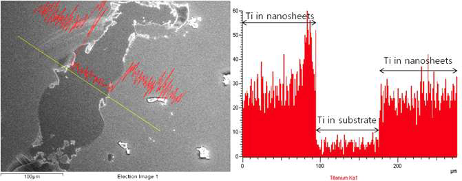 Ti5NbO14 나노시트 박막의 SEM 이미지와 EDS 스펙트럼