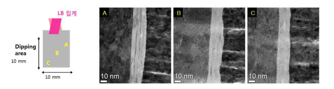 증착한 박막의 분석을 위한 모식도 및 TEM images of Sr2(1-x)Bi2xNb3O10-δ (x=0.1) thin film