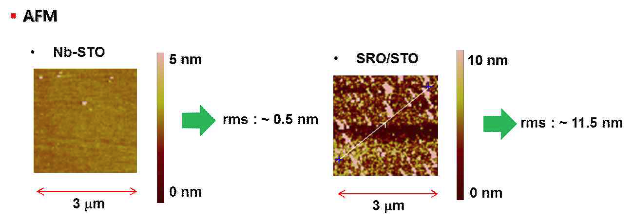 Nb-STO 및 SRO/STO 기판의 AFM 분석
