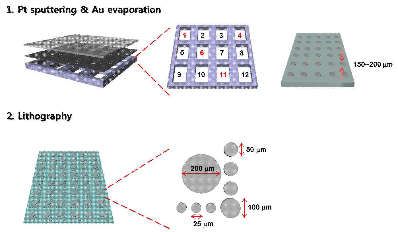 스퍼터링을 이용한 방법과 Lithography를 통하여 얻어진 패턴의 모식도