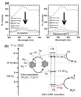 ZCW-1 (solid lines), ZCW-2 (dot-dot-dashed lines), ZCV-1(dashed lines), ZCV-2 (solid lines)의 PL spectra, (b) 아연-크롬 층상이중수산화물과 다중금속이온 나노클러스터 혼성체 모델.