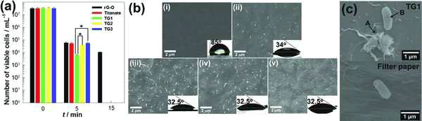 (a) 순수한 그래핀 필름, 층상티탄산화물 필름, TG1, TG2, TG3의 혼성필름 위에서 시간에 따른 E. coli 수의 변화. (b) i) 순수한 그래핀 필름, ii) 층상티탄산화물 필름, iii) TG1, iv) TG2, v) TG3의 혼성필름의 이미지. 내삽이미지는 필름 위의 물방울 접촉각을 나타냄. (c) TG1과 거름 종이 위에 놓여진 E. coli의 15분 노출 후 이미지.