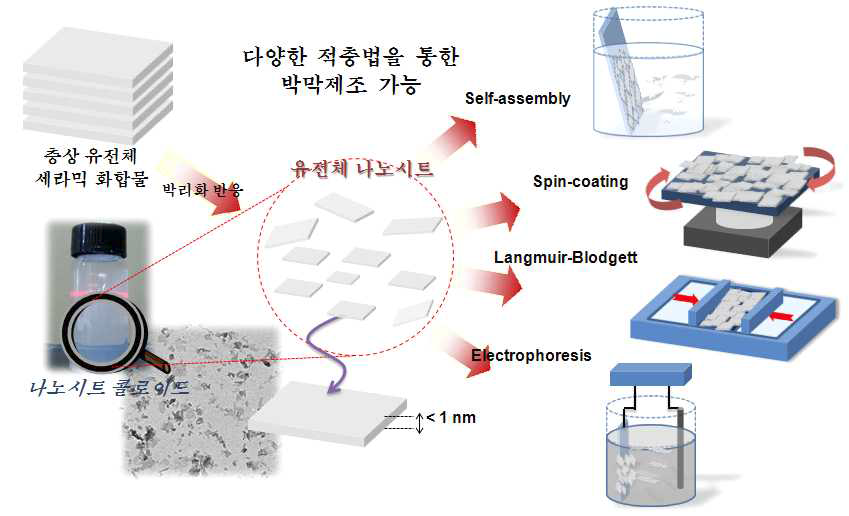 박리화 반응을 통한 나노시트 제조 및 다양한 적층법을 이용한 고유전체 박막제조 모식도