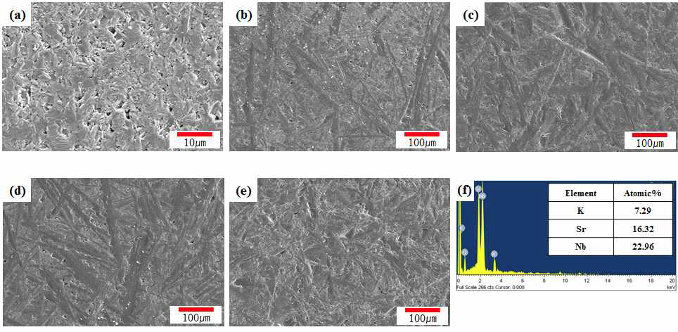 과량 첨가된 KSr2Nb3O10 금속 산화물의 1350oC에서 10시간 소결한 후의 단면 SEM 분석 결과