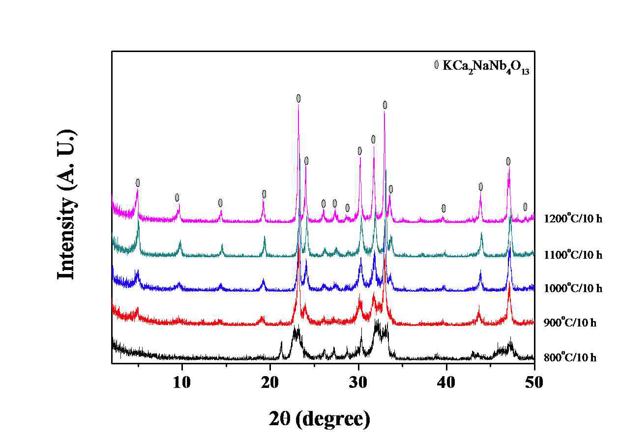 다양한 온도조건 하에서 1-step 공정으로 합성된 KCa2NaNb4O13 벌크 세라믹의 XRD 패턴.