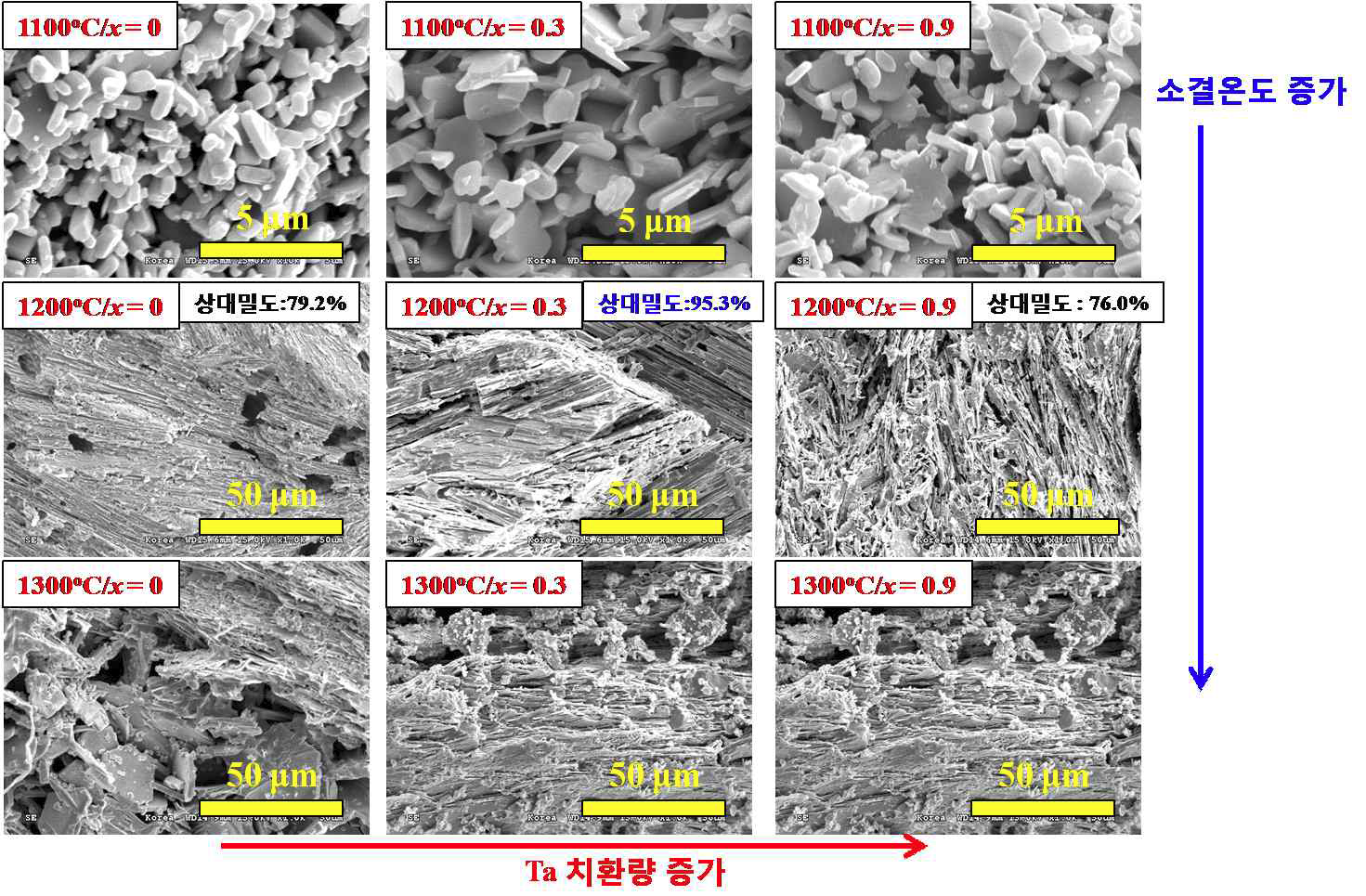 1100 ºC, 1200 ºC, 그리고 1300 ºC에서 소결된 CsBa2Nb3-xTaxO10 벌크 세라 믹의 SEM 이미지.