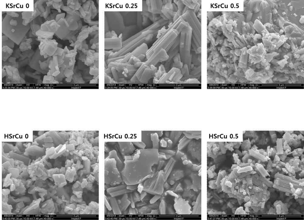 KSr2(1-x)Cu2xNb3O10와 HSr2(1-x)Cu2xNb3O10의 주사 전자 현미경 사진