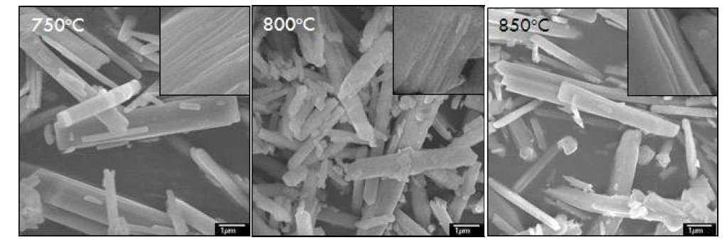 다양한 온도조건 하에서 질소 치환한 K3Ti5NbO14 의 SEM 이미지