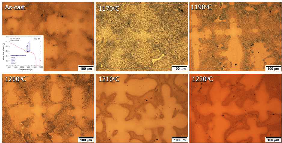 B1 후보합금의 용체화처리 온도에 따른 미세조직 변화.