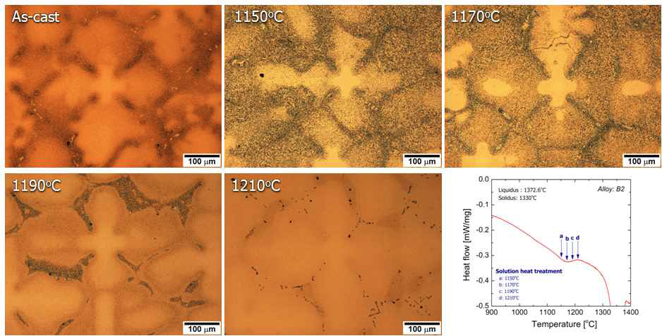 B2 후보합금의 용체화처리 온도에 따른 미세조직 변화