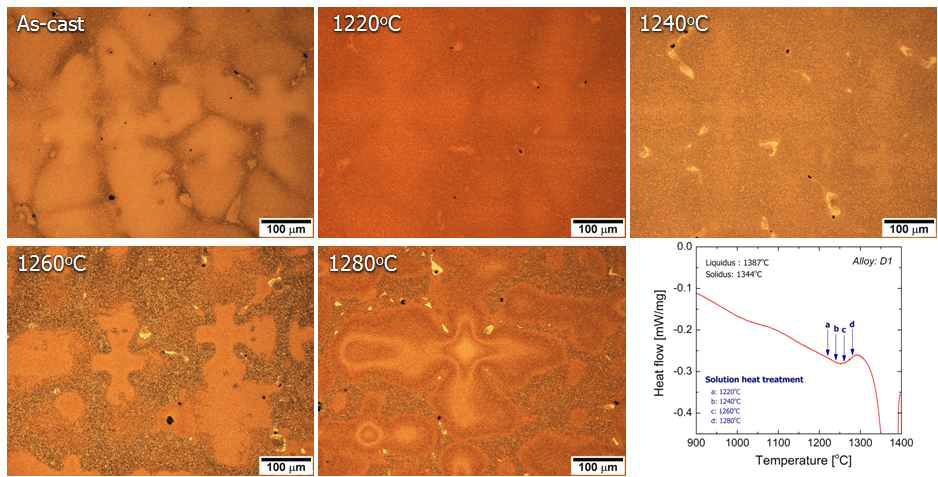 D1 후보합금의 용체화처리 온도에 따른 미세조직 변화.