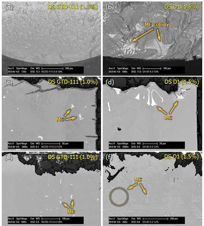 TMF 시험 후 DS GTD-111 합금과 D1 합금의 파면 및 파단면 미세조직.