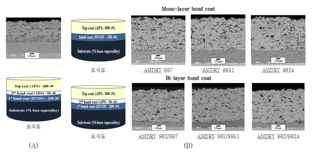 4차 및 5차 코팅 시험편의 모식도 및 미세구조.