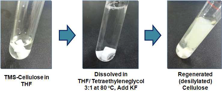 KF와 tetraethylene glycol을 이용한 트리메틸실릴-셀룰로오스의 디실릴화 반응.