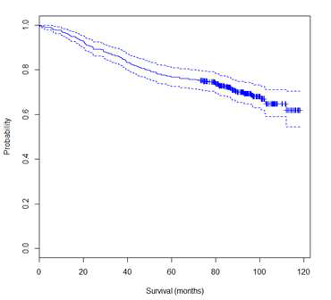 stage II-IIIb (n=390) 10년 생존률, qPCR