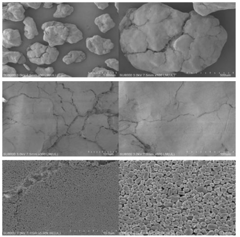 A-1의 SEM분석결과