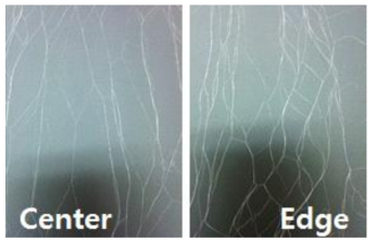 중간과 가장자리의 fibril길이 편차