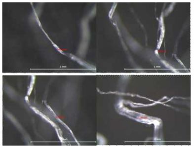 Fibril 굵기(조건 : 45°, 40mm) (1)