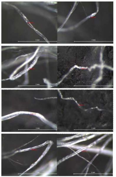 Fibril 굵기(조건 : 45°, 40mm) (2)