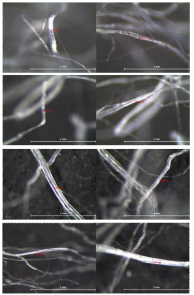 Fibril 굵기(조건 : 45°, 40mm) (3)