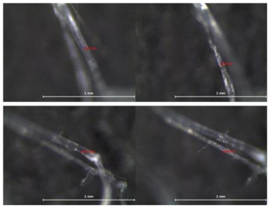 Fibril 굵기(조건 : 70°, 40mm) (3)