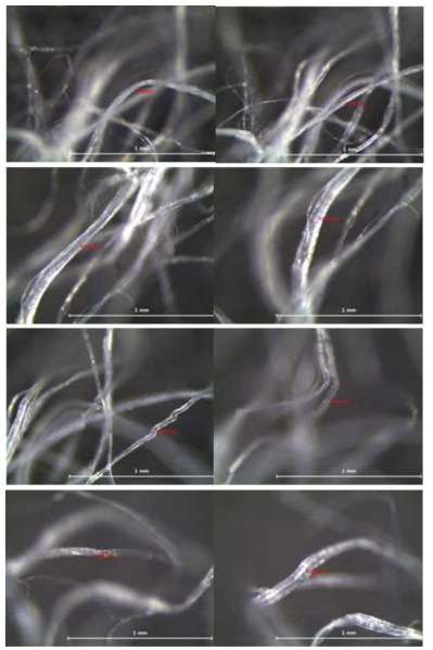 Fibril 굵기(조건 : 70°, 40mm) (1)