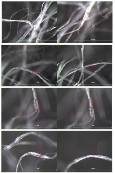 Fibril 굵기(조건 : 70°, 40mm) (2)