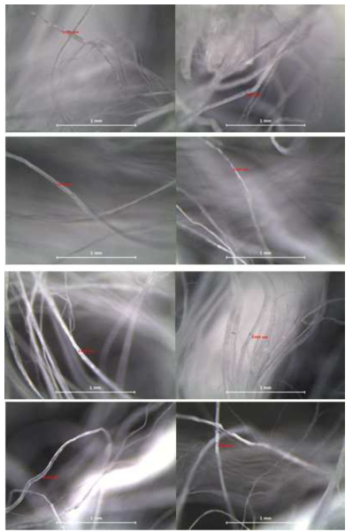 Fibril 굵기(조건 : 70°, 60mm) (1)