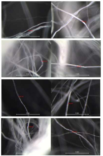 Fibril 굵기(조건 : 70°, 60mm) (2)