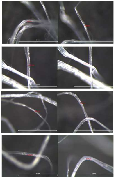 Fibril 굵기(조건 : 90°, 20mm) (2)