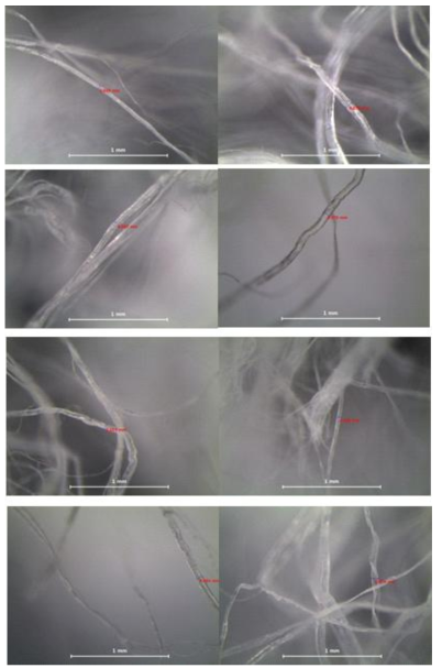 Fibril 굵기(조건 : 90°, 40mm) (1)