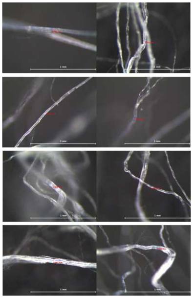 Fibril 굵기(조건 : 90°, 60mm) (1)