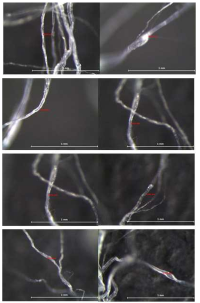 Fibril 굵기(조건 : 90°, 60mm) (2)