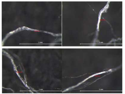 Fibril 굵기(조건 : 90°, 60mm) (3)