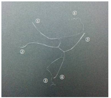 C사 PTFE staple fiber의 fibril 수