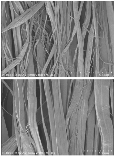 Micro-one staple fiber의 표면(×100, ×300)