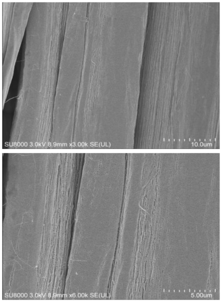 Micro-one staple fiber의 표면(×3,000, ×6,000)
