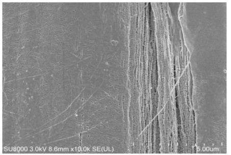 A사 staple fiber의 표면(10,000)