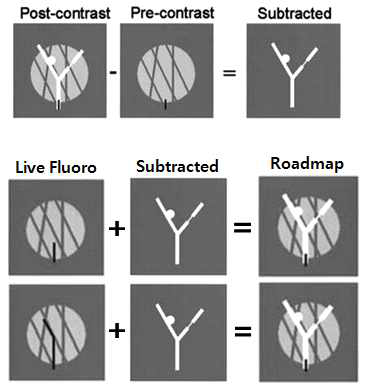 Roadmap 알고리즘