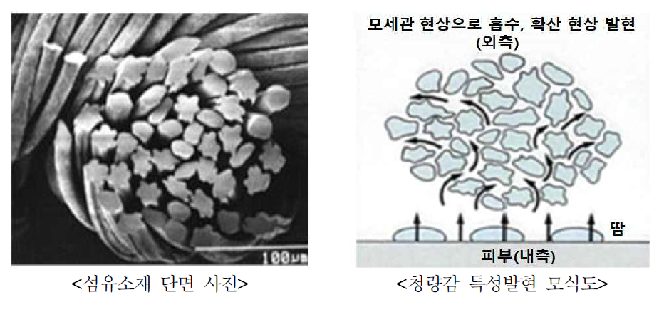 개발예정 다형단면사 섬유소재의 특성발현