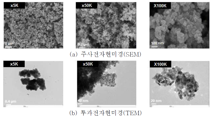 경쟁사 제품(P-25) SEM, TEM 이미지