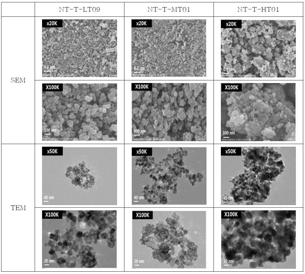 열처리 온도 조건별 SEM, TEM 이미지