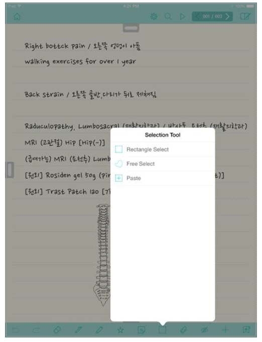 핸드라이팅-Selection Tool