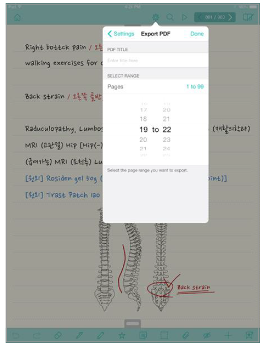 핸드라이팅-Export PDF 설정