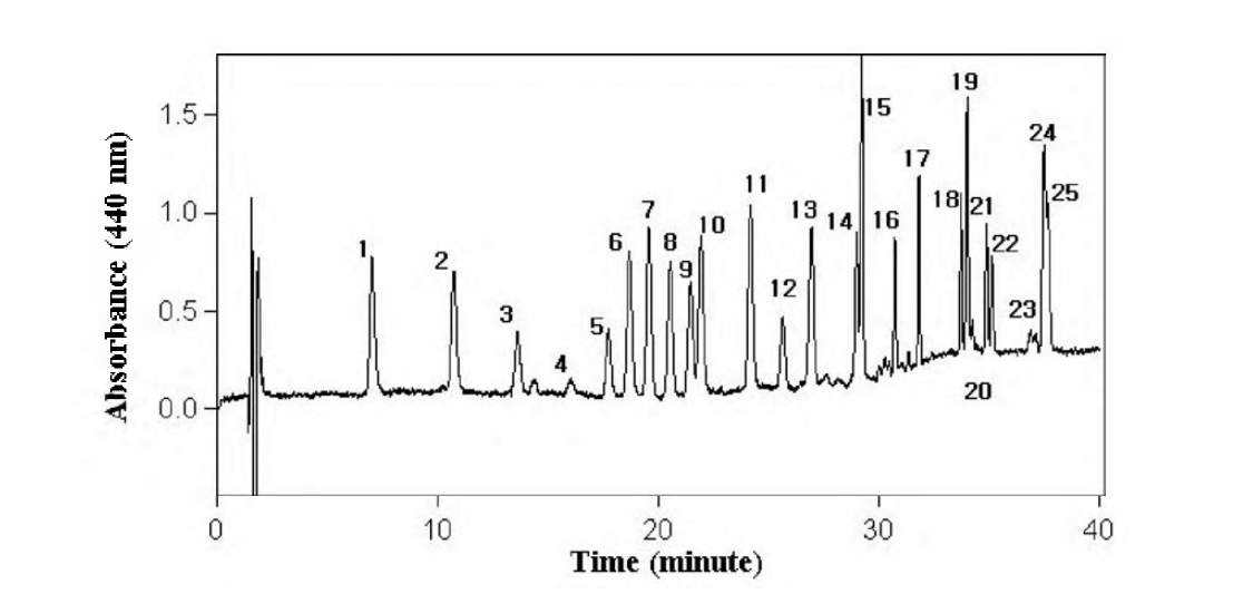 HPLC Chromatogram of an aqueous mixture of pigment standards.