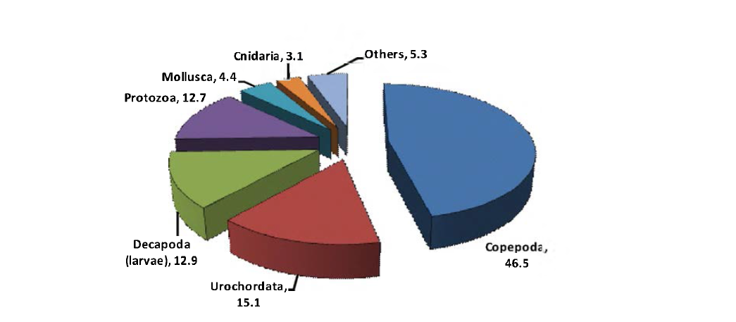 Zooplankton composition(%) in October 2004.