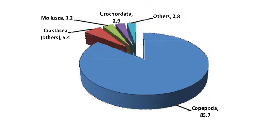 Zooplankton composition(%) in February 2009.