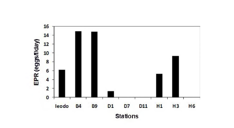 Variation of egg production rate(EPR, eggs/f/day) of an adult female of Calanus sinicus in April 2004.