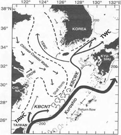 Circulat1011 patterns together with the distributions of water masses and oceanic fronts after Kondo(1985), TWC, Tsushima Warm Current； KBCWK, Kuroshio Branch Current west of Kyushu； KBCNT, Kuroshio Branch Current north of Taiwan; Yellow Sea Warm Current； TAWC, Taiwan Warm Current.