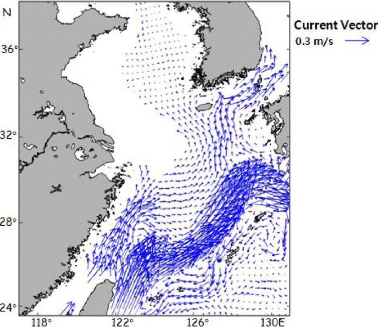 Velocity field at 50 m depth calculated by ROMb on July 1,2006.